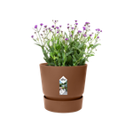 greenville round 20cm gemberbruin